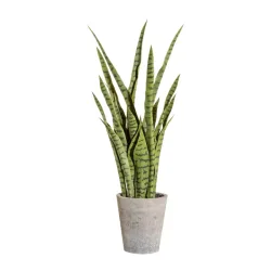 Gasper Kunstpflanze Sanservieria Grün  | Schubiger Möbel
