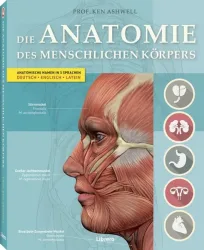 Die Anatomie des Menschlichen Körpers