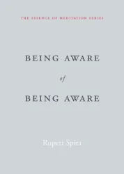 Being Aware of Being Aware