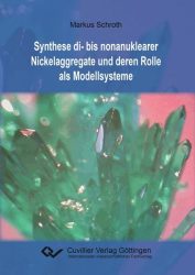 Synthese di- bis nonanuklearer Nickelaggregate und deren Rolle als Modellsysteme