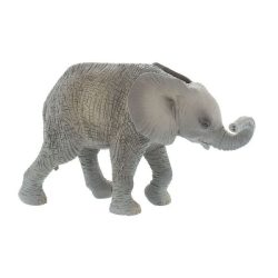 Afrikanisches Elefantenkalb