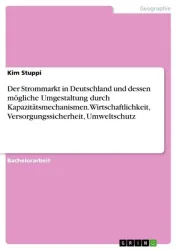 Der Strommarkt in Deutschland und dessen mögliche Umgestaltung durch Kapazitätsmechanismen. Wirtschaftlichkeit, Versorgungssicherheit, Umweltschutz