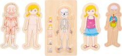 small foot® Schichtenpuzzle ANATOMIE MÄDCHEN 36-teilig aus Holz