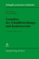 Grundriss des Schuldbetreibungs- und Konkursrechts