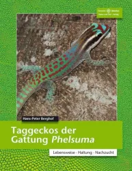 Taggeckos der Gattung Phelsuma