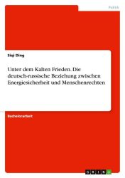 Unter dem Kalten Frieden. Die deutsch-russische Beziehung zwischen Energiesicherheit und Menschenrechten