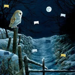 COPPENRATH Zettelkalender 72562 Magie u. Mythos der Weihnacht