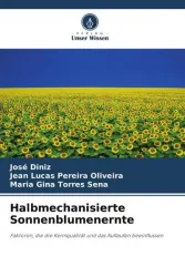Halbmechanisierte Sonnenblumenernte