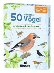 Moses Verlag Kartenset - 50 HEIMISCHE VÖGEL - entdecken & bestimmen