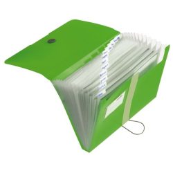 Fächermappe, Organizer