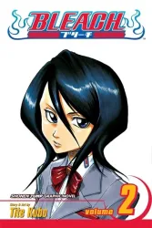 Bleach, 2