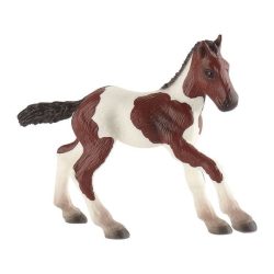 Paint Horse Fohlen