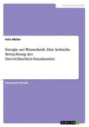 Energie aus Wasserkraft. Eine kritische Betrachtung des Drei-Schluchten-Staudammes