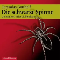 Die schwarze Spinne