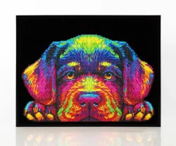 DIAMOND DOTZ - Bastelartikel, 8X5X45CM, Multicolor