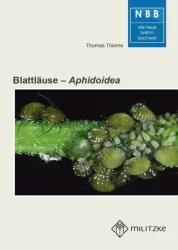 Blattläuse ? Aphidoidea