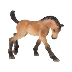 Trakehner Fohlen
