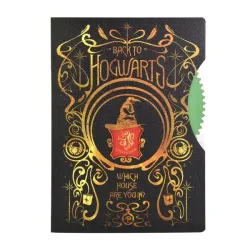 HARRY-POTTER - Notizbuch Spinner, One Size, Multicolor