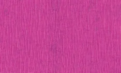 Folia Krepppapier Lagen Primel | 50 × 250 cm