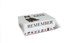 Remember - Gedächtnisspiel 44 Cats in der Magnetbox, Multicolor