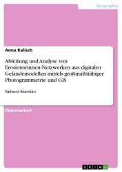 Ableitung und Analyse von Erosionsrinnen-Netzwerken aus digitalen Geländemodellen mittels großmaßstäbiger Photogrammetrie und GIS
