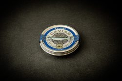 Beluga Kaviar «huso huso» 100g