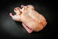 Ente ganz und ausgenommen ca. 1.9kg