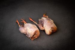 Rebhuhn ganz und ausgenommen (Schale à 2 Stück, ca. 250g)