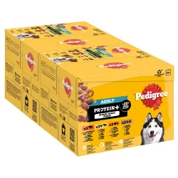 Pedigree Adult Frischebeutel Protein Plus in Gelee - Sparpaket: 48 x 85 g (4 Varietäten)