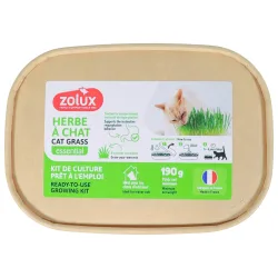 Zolux Katzengras - L 17 x B 12 x H 4,5 cm