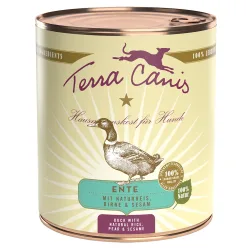 Sparpaket Terra Canis 12 x 800 g - Rind mit Karotten, Apfel & Naturreis