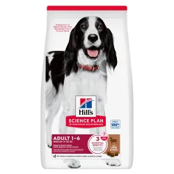 Hill's Science Plan Trockennahrung für Hunde, Medium Adult mit Lamm und Reis 14 kg