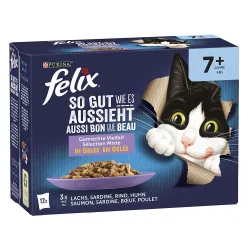 Felix, Felix So gut wie es aussieht Senior 12x85g