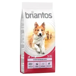 Sparpaket Briantos 2 x Grossgebinde - Adult Lachs & Reis  (2 x 14 kg)