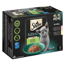 Sheba Kitten Varietäten Frischebeutel 12 x 85 g - Feine Vielfalt in Sauce (Lachs; Huhn)