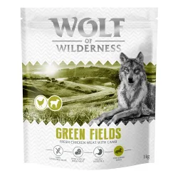 Wolf of Wilderness Senior 