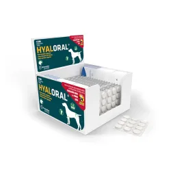 Hyaloral grosse & sehr grosse Rassen - 360 Tabletten