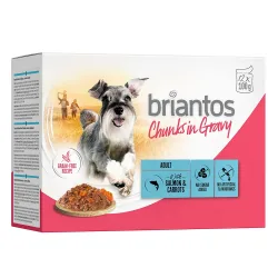 Briantos Chunks in Gravy 12 x 100 g - Lachs & Karotten