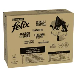 Megapack Felix 