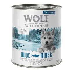 Sparpaket 12 x 800 g Wolf of Wilderness JUNIOR 