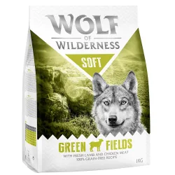 Wolf of Wilderness 