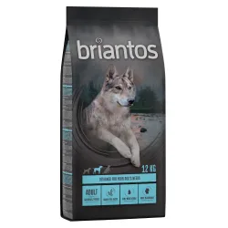 Briantos Adult Lachs & Kartoffel - GETREIDEFREIE Rezeptur - Sparpaket: 4 x 1 kg