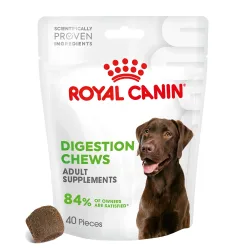 Royal Canin Digestion Adult Supplement Kausnacks - 160 g (40 Stück)