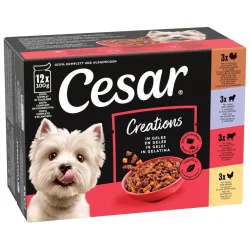 Cesar Creations Nassfutter Hund Adult 4 Variationen in Gelee 12x100g