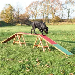 Trixie Dog Activity Agility Steg - L 456 x B 30 x H 64 cm