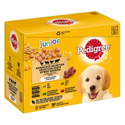 Pedigree Junior Frischebeutel Multipack - 48 x 100 g Gemischte Selektion in Gelee (4 Varietäten)