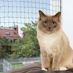Trixie Bissfestes Katzennetz oliv - 8 x 3 m