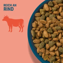 Perfect Fit Active 1+ Reich an Rind - Sparpaket: 5 x 1,4 kg