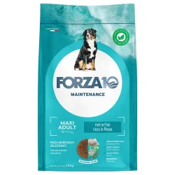 Forza 10 Maxi Maintenance mit Fisch - Sparpaket: 2 x 12 kg