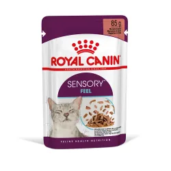 Royal Canin Sensory Feel in Sosse - Sparpaket: 24 x 85 g